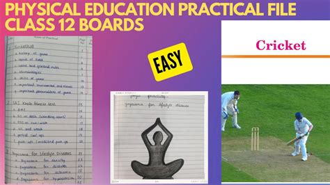 physical education project file on cricket|CRICKET PROJECT FILE= Physical Education Class 12th 2022 .